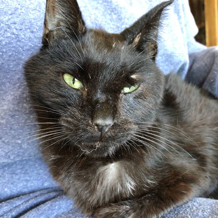 E0e60ff1 2a68 4884 9de8 f33ce1efc22b 1557635006240