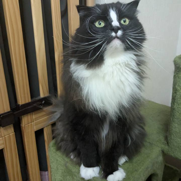 E0e611c0 c23e 4ded 95d8 b55651516a04 1740311172261