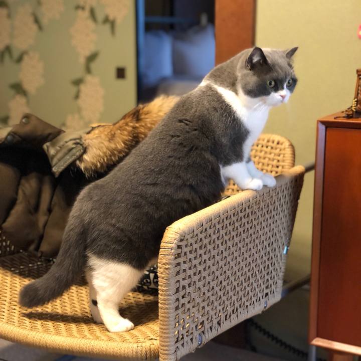 E0e61b64 5cdc 49c4 a920 e169c8ed5b4b 1576197941642