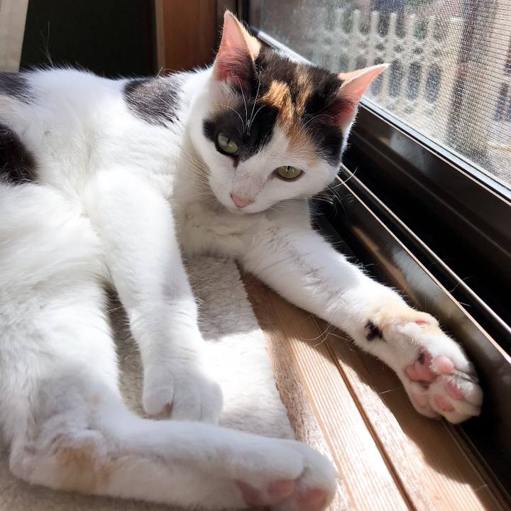 E0e65c1c 8754 4a4d 8024 07744bc5f234 1529633117097