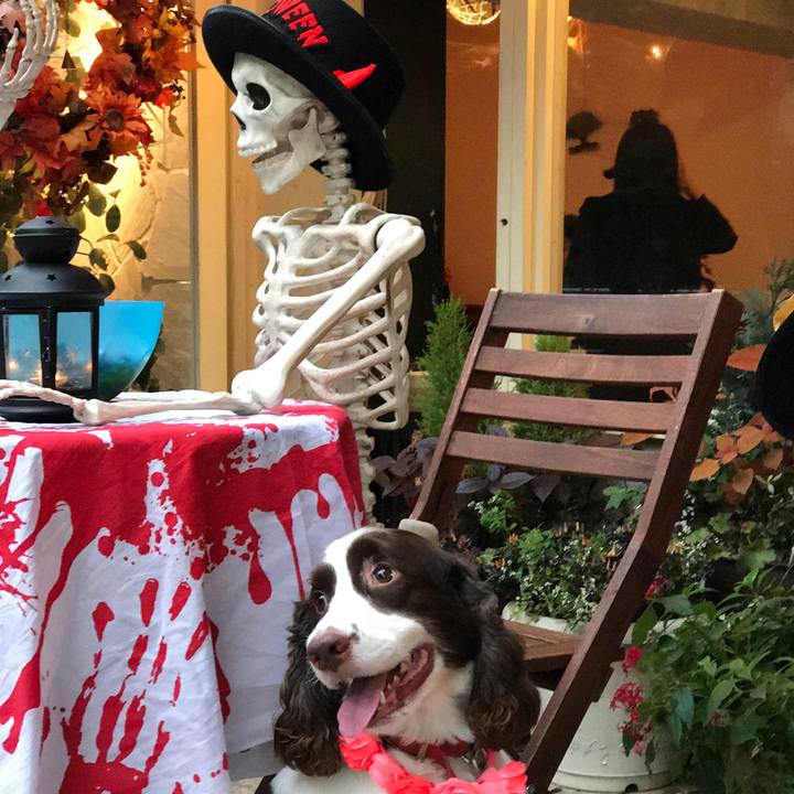 E0e69bb7 7cfb 4b75 aace 39483f42b612 1509443892892