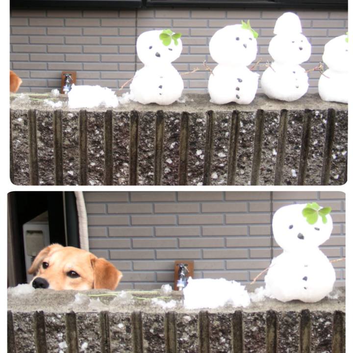 E0e6a158 8d8a 4d12 b4ec 48ab81b6eb8d 1533266637744