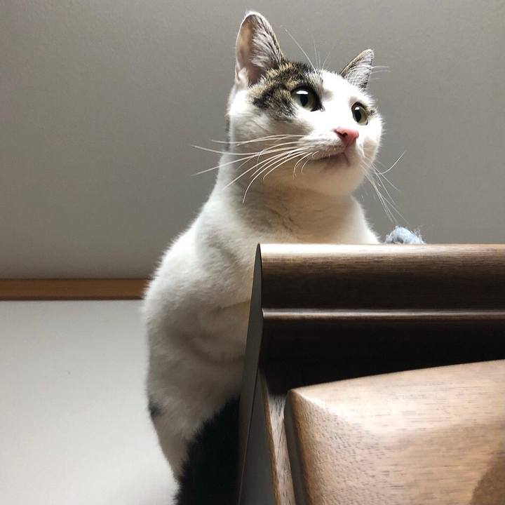 E0e6b449 73f0 4a7e 91c1 1183cc49c4ba 1644060615094