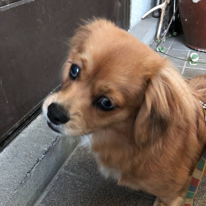 E0e6d939 db40 43f5 965b 8f68e2e4d9dc 1509400774708