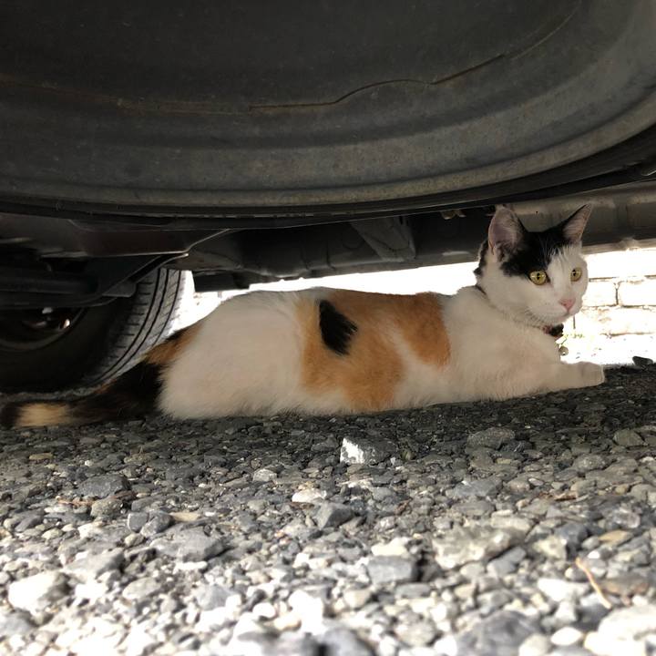 E0e70369 ccfe 4e56 8243 057dbf23dcbf 1624659213680