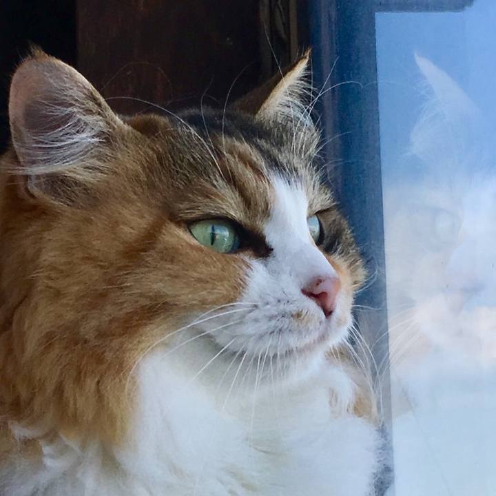 E0e705d9 56f9 4a84 830e 707f637b1cd8 1565504590662