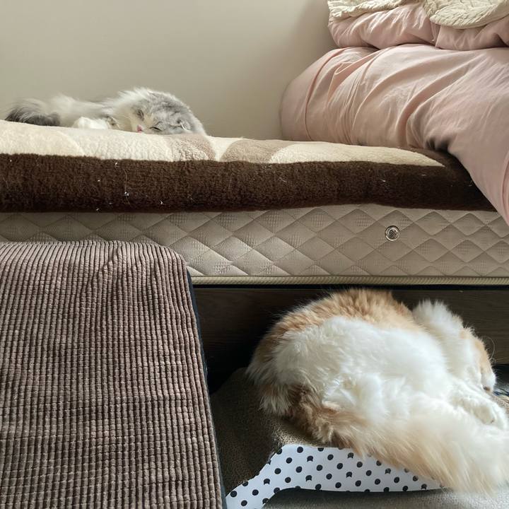 E0e70872 ea52 4aa0 a1ad a4767c6b67e9 1648039218872