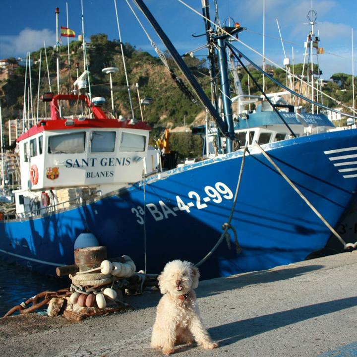 E0e715ed 6ff5 4c05 a8ec 2e1c24e53fff 1541976212170