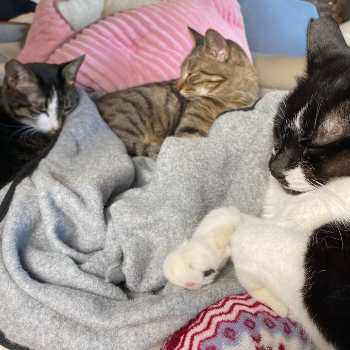 E0e72a88 4ecf 4df4 88fc cbda483d99a6 1735176522992