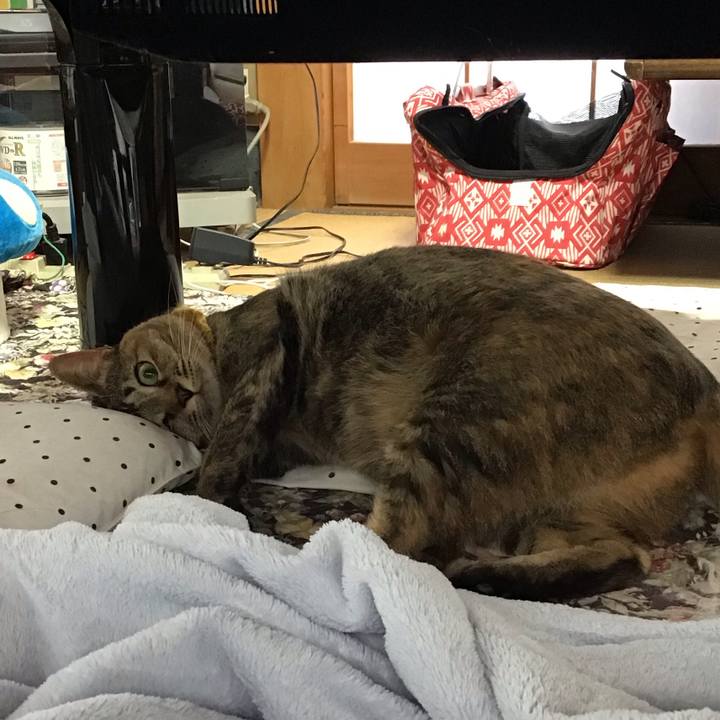 E0e74568 2f29 4ac1 8a4a 79d6a3482d58 1622849401826