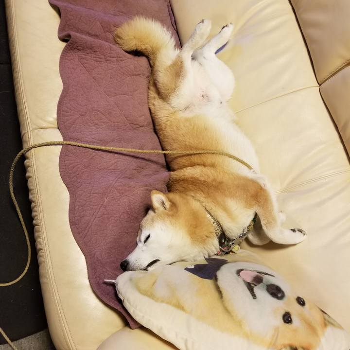 E0e76c69 de00 4320 b46f bc0898a3f483 1698923299680