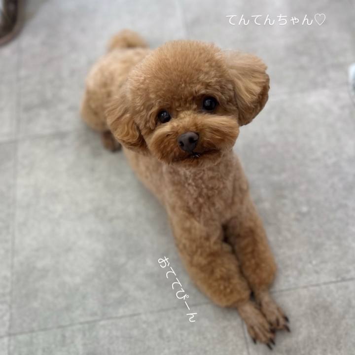 E0e7bb38 4490 400f a961 683ee31ebaf7 1760238935042