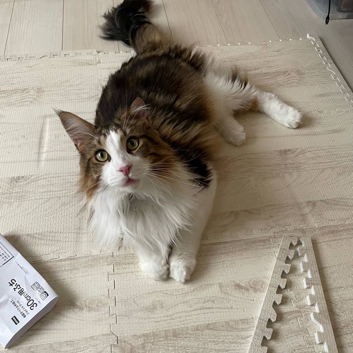 E0e7c6c0 425d 4e39 9d4d 41be612b0b70 1657928663614