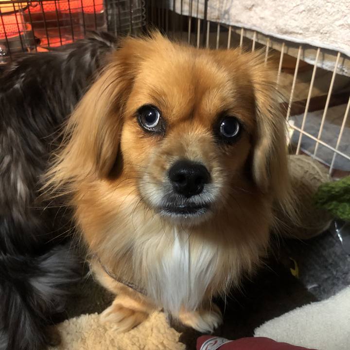 E0e7cfa4 7c76 4998 b841 e3aea0c34890 1547155888637