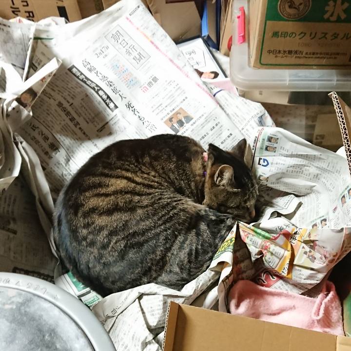 E0e8229a df9e 439c aa8a f4749ce6b3c8 1648700201389