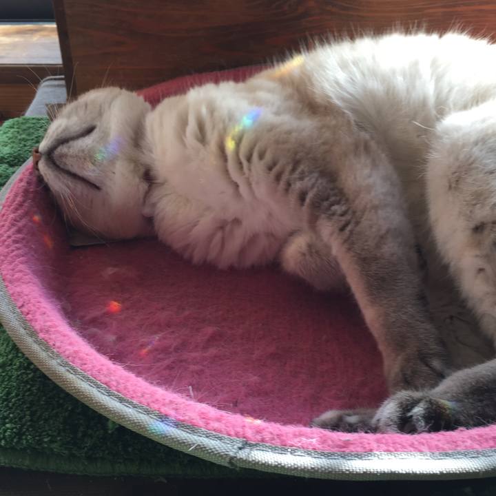 E0e834ff 0df3 4a74 b416 a2dc370a98b7 1576128957762