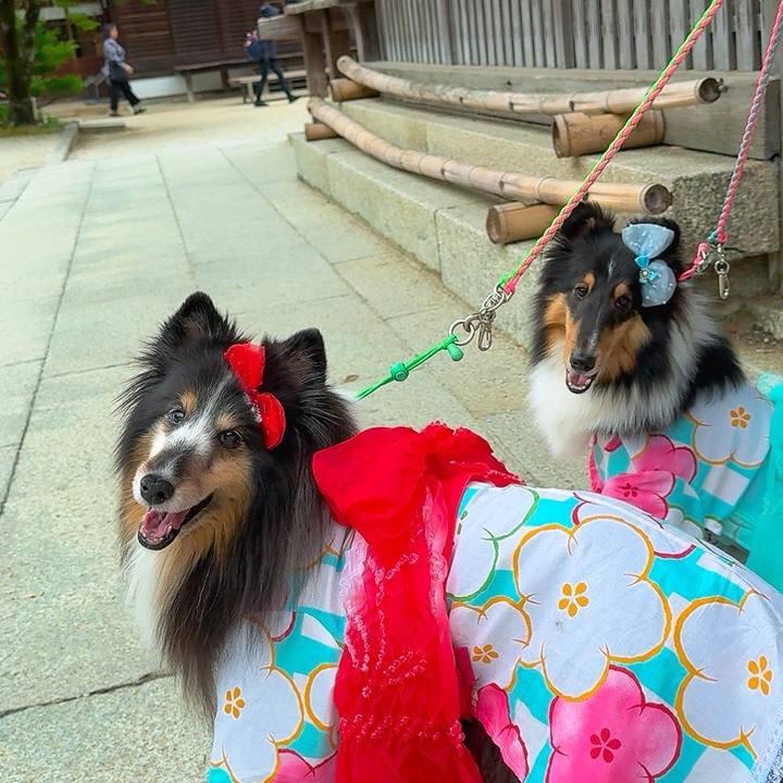 E0e847cf c356 43b7 b1ff a41608c05998 1749997649796