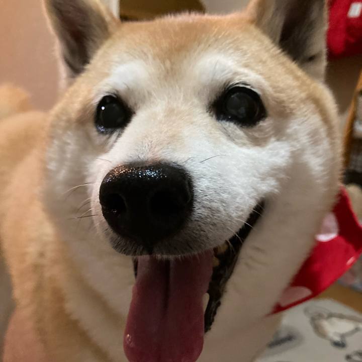 E0e859b0 9bf1 47b5 9d1b 5d6a5358fda3 1653298243862