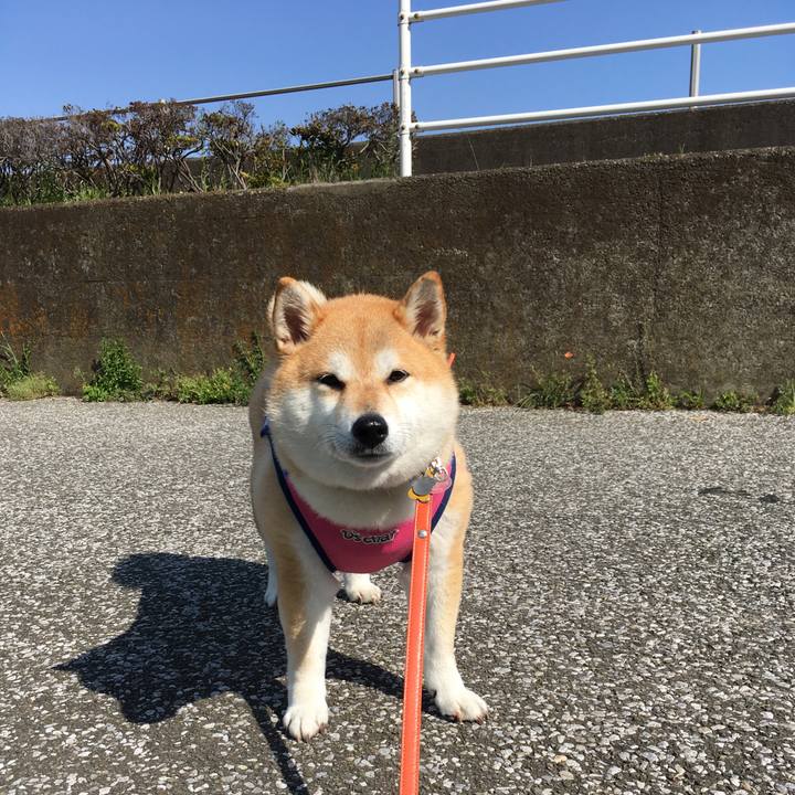 E0e86376 2101 4a91 8ae5 4f3611acb89b 1557445545958