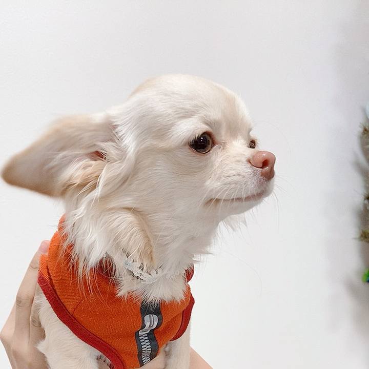 E0e88488 cc43 44cc 84a5 a80c65dfd940 1608174864277