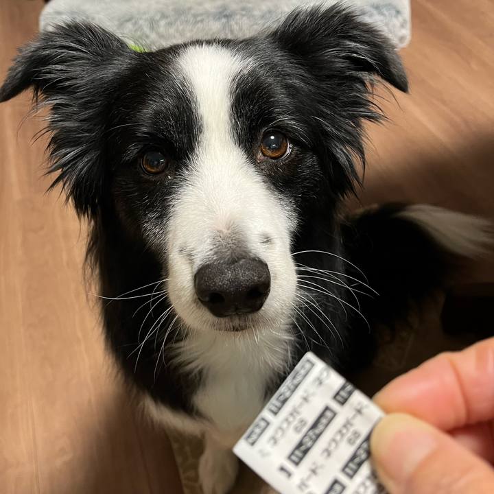 E0e89db2 baae 4c3c b629 1cbb5a61f967 1765446143271