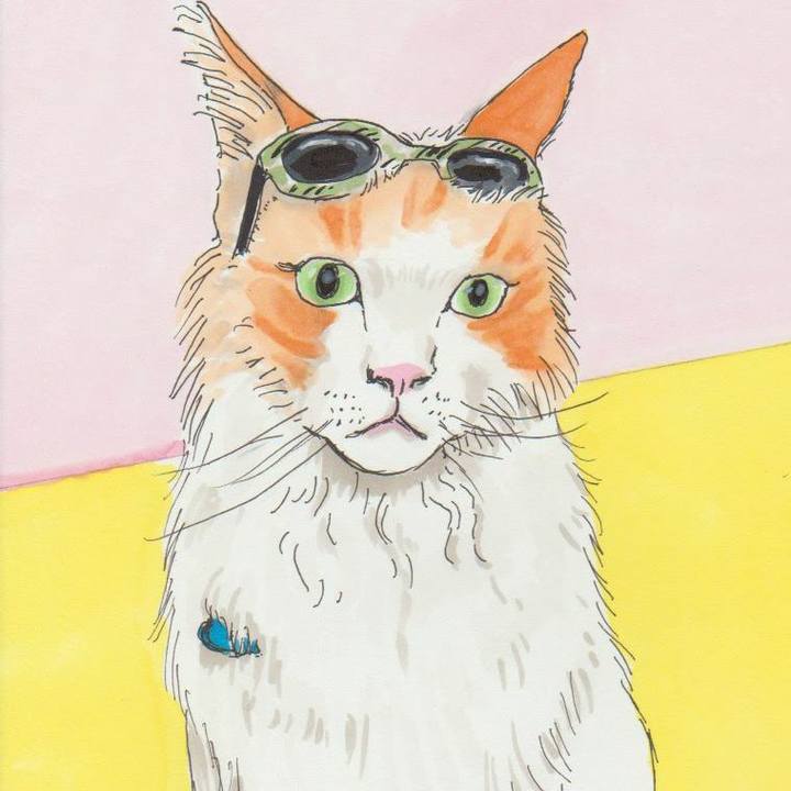 E0e8b640 7bd1 4759 ad7e bf70ed0ad7fe 1580819403594