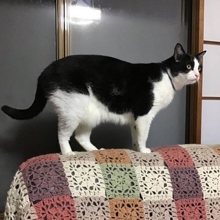 E0e8e080 1eb3 4c6d b49d 694392a0ab21 1728294479568