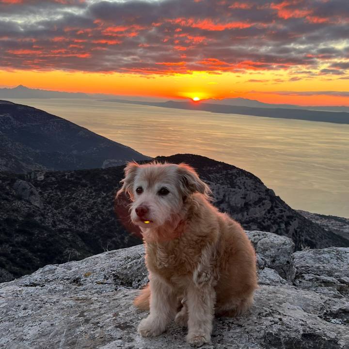 E0e90de7 3840 43bd 8a92 5c1b5a863016 1767419468298