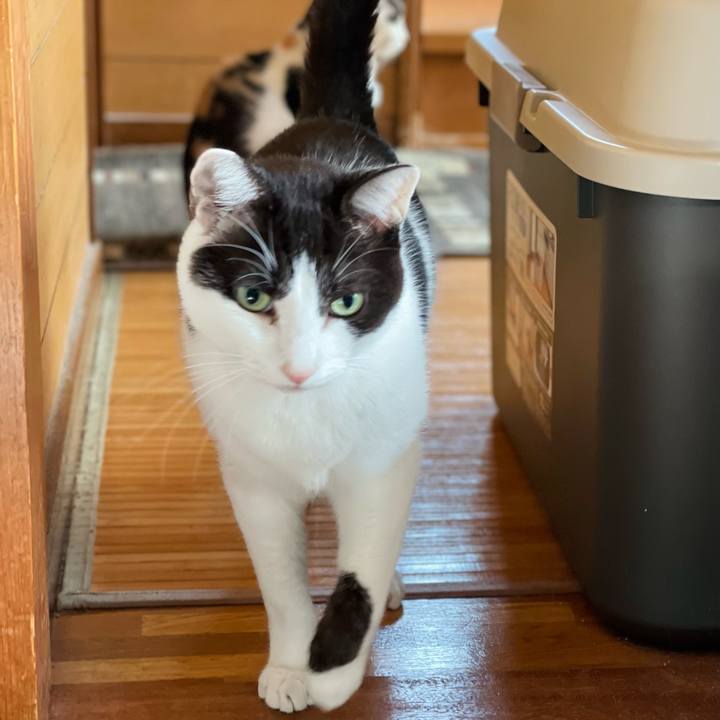 E0e91854 cb1c 41e2 bbaf b7e0c5e5038c 1639883892004