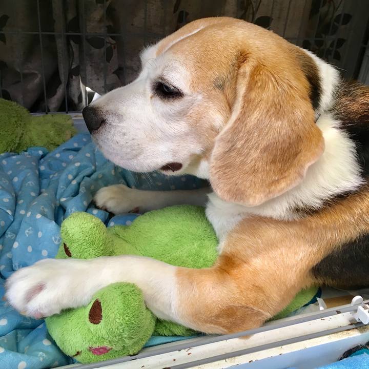 E0e920be e77f 46d8 a39c b7292fb4f827 1535242760522