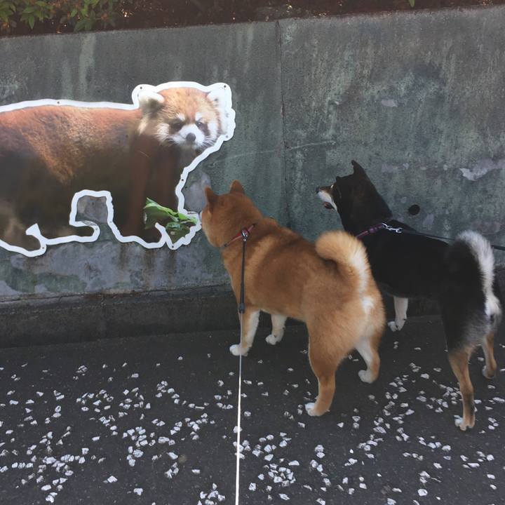 E0e9660a 1923 4e2c 998f f2202e61adc8 1621771456370