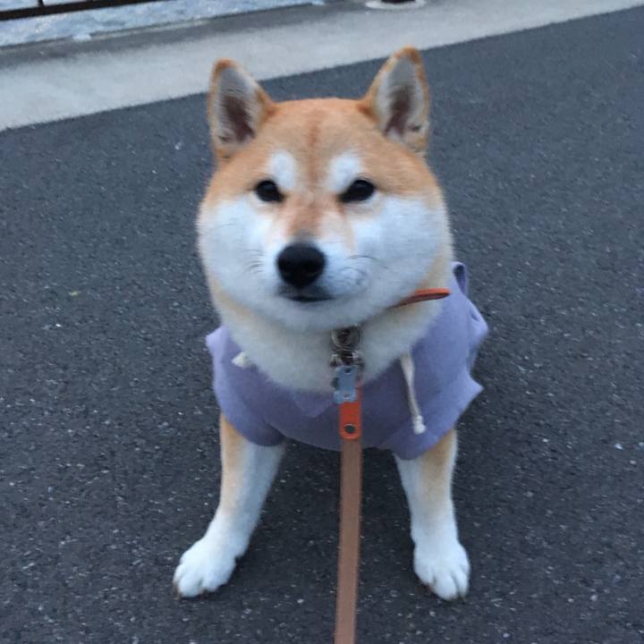 E0e96892 accf 42cb b938 274da1b7346a 1553504865840