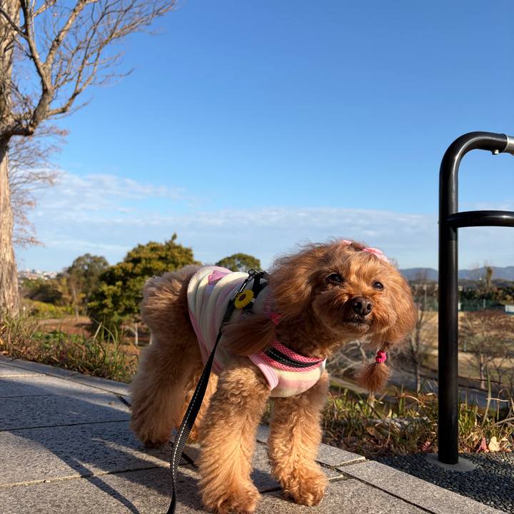 E0e97974 b95c 4b82 b60b 93d0c5d7bbd9 1765431659984