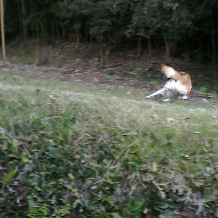 E0e980ca 3346 49ce 8c31 2a6943941866 1511225432359