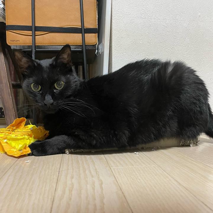 E0e98eee f285 4261 8b98 97625461b5c4 1750931967587