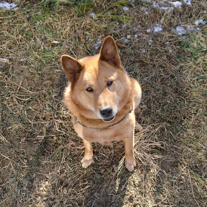 E0e9cd81 bb4d 4059 83dd 796fc7bf7796 1515299827634