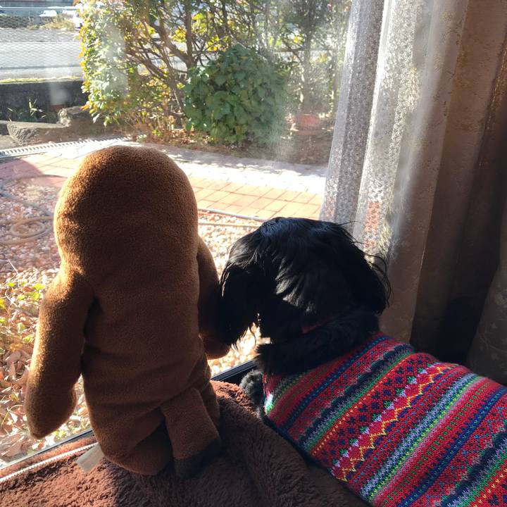 E0e9e7c2 c79c 438e 8d4b 4da9047274f5 1511571695807