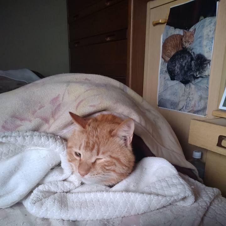 E0e9f10a 4aae 40a9 8b08 ecc9ac51bd55 1743889927374