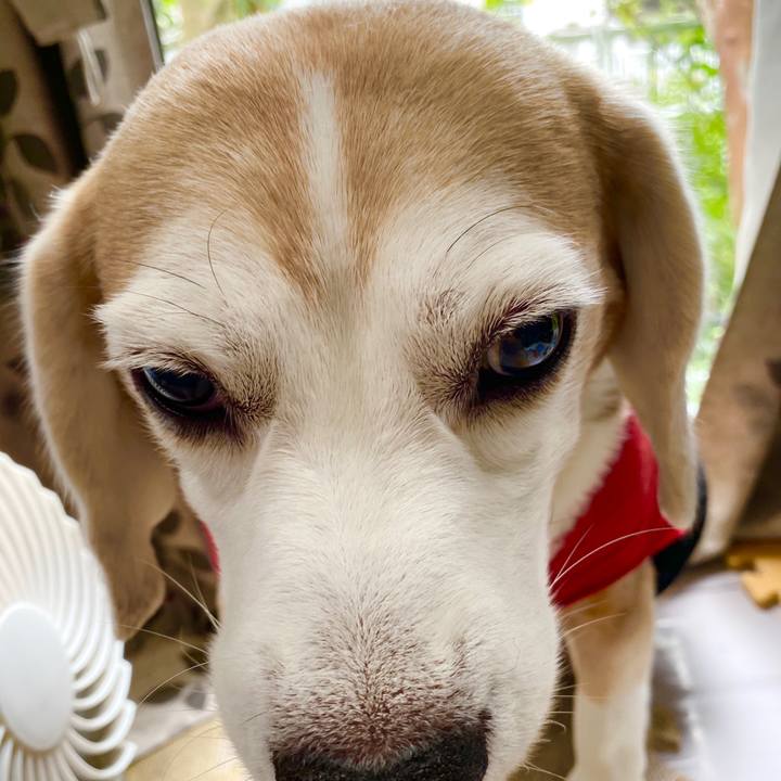 E0ea0058 c0a4 4212 a76f 3b93690cc42c 1596001306328