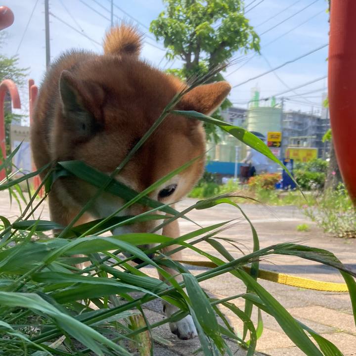 E0ea92f5 d7ac 4c48 9fc9 e8be082707d3 1651717840532