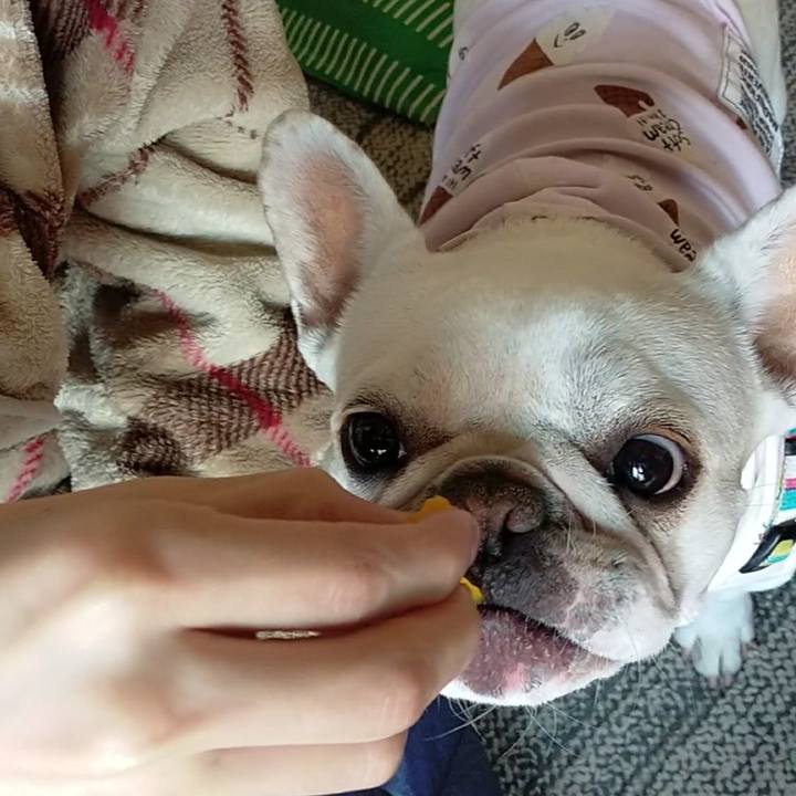 E0eaa765 96d8 428f b9e7 745edb20c4de 1648080206348