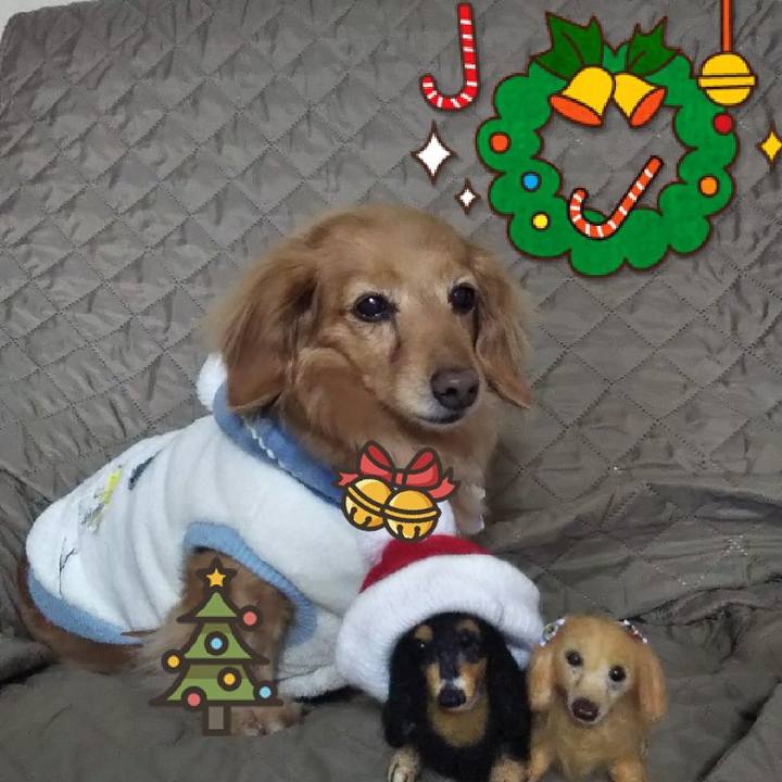 E0eac754 f107 4456 8a29 0a1d767f6d16 1639884707297