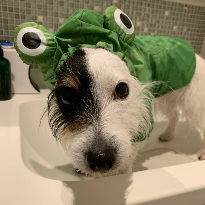 E0ead10b 10f1 472a ba0c 2d2521532dc3 1708677564391