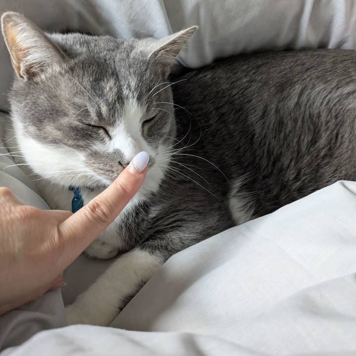 E0ead1ff 8d01 43bf b360 a042d96d91b7 1774232461937