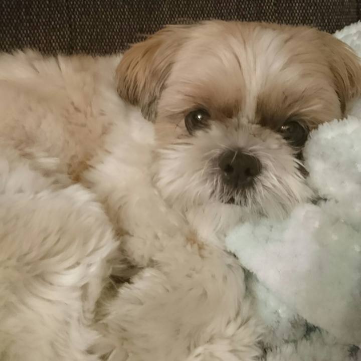 E0eae6c0 9e14 4924 ab2b 15bc55475355 1547129149970