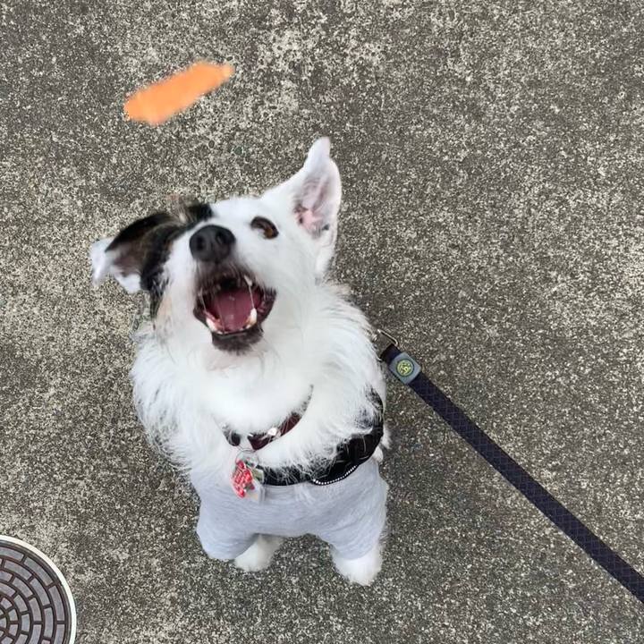 E0eaec84 4f65 4f0b 8d3e 3955e0c5f156 1684454164159