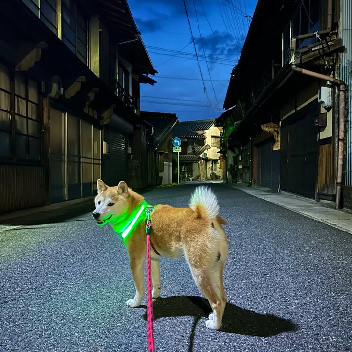 E0eaf509 efda 4ce9 bda4 ce8688135dcc 1719659237168