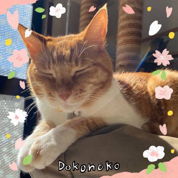 E0eb5b75 fcba 43ea a3a3 8c07221000eb 1711771266303