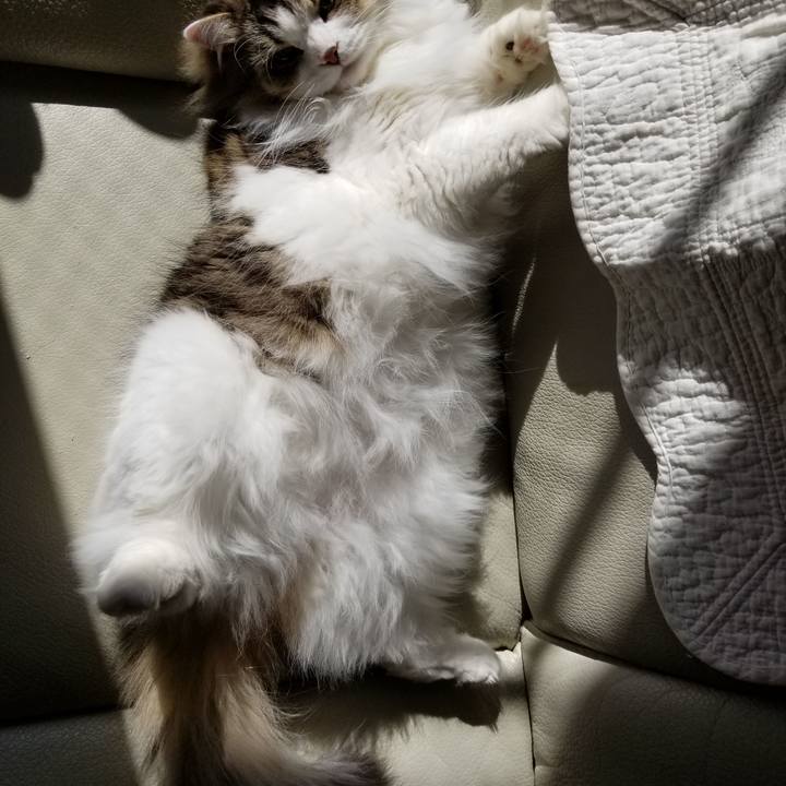 E0eb6ba1 1cc4 4feb 8ed3 f76d3fa4ab0c 1533127109331