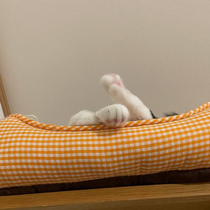 E0eb74d7 64e3 4415 bbf9 3a21db734592 1657410361800